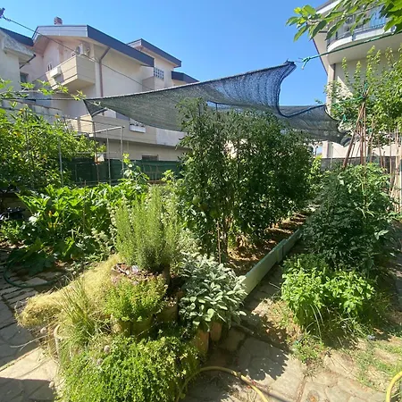 Sechome Stanza In Privata Con Giardino * チッタ・サンタンジェロ